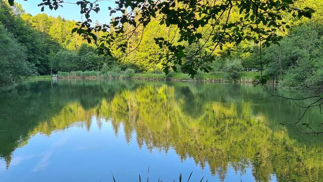 Pêche au lac de la Crossetaz
