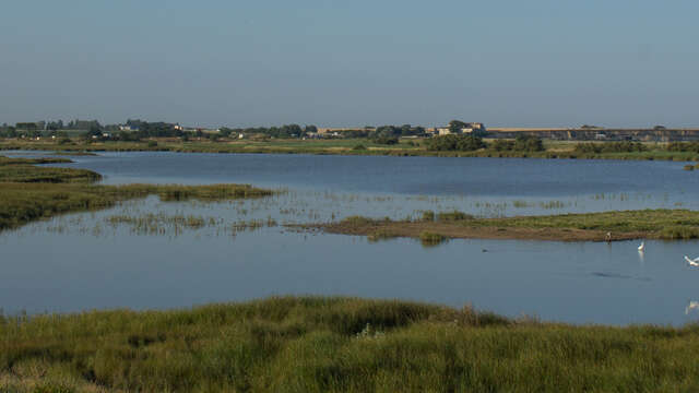 Réserve naturelle nationale de la baie et du marais d'Yves