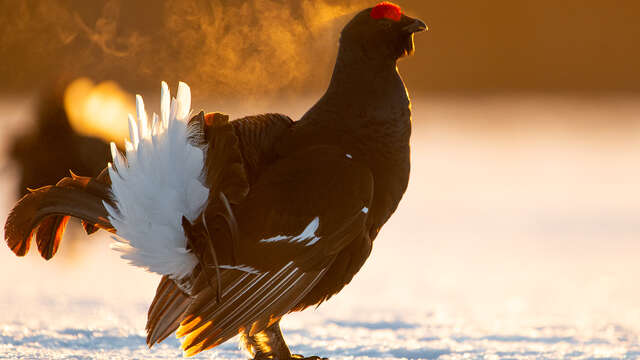 Une montagne à partager