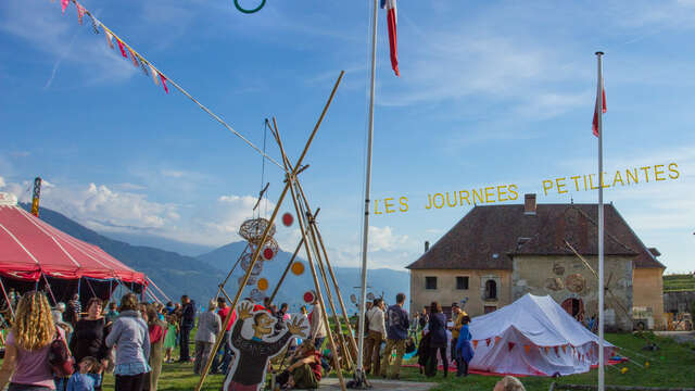 Festival 