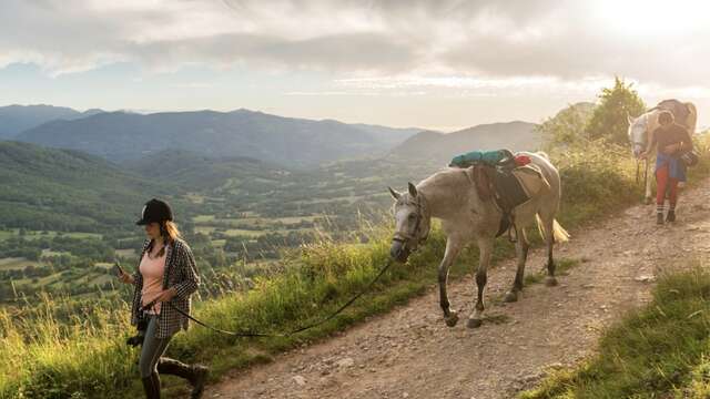 Excursion à cheval au coeur de la forêt