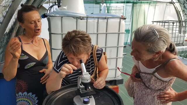 Visite de la ferme et dégustation : Spiruline de Ners