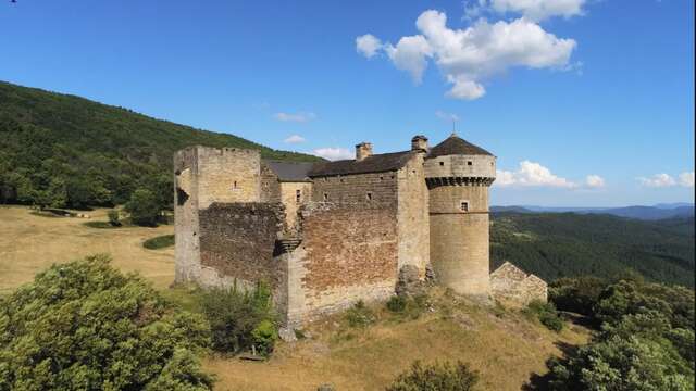Château du Cheylard d'Aujac