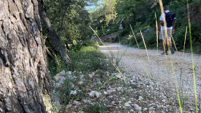 Les charbonnières de la Sainte-Baume - Journée