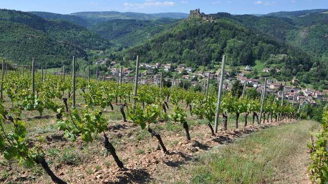 Les vignes