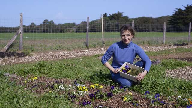 Violette et capucine, producteur de fleurs et plantes comestibles