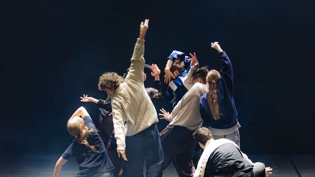 In de hersens' Shechter II - Festival Vaison Danses