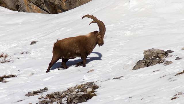 Bureau Montagne Visa Trekking