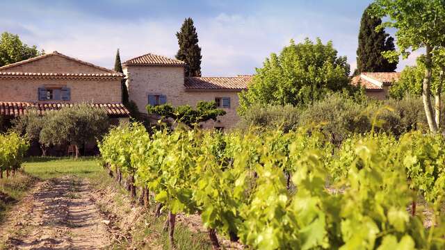 Gîte des Amis - Domaine de Mas Caron