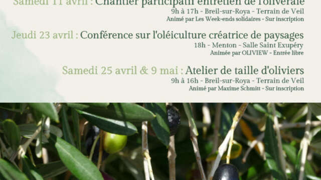 Les rendez-vous de l'olive : chantier participatif entretien de l'oliveraie