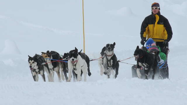 Tarentaise Traîneau Mushing