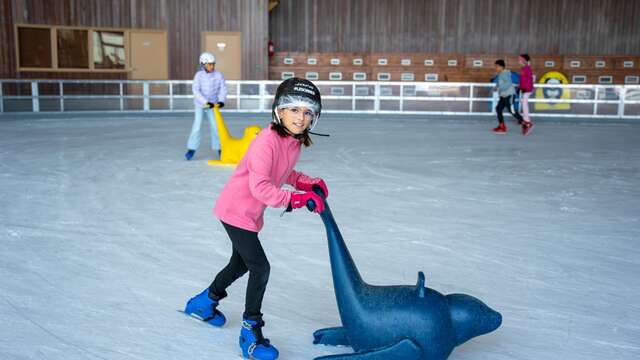 Jardin de glace à la patinoire