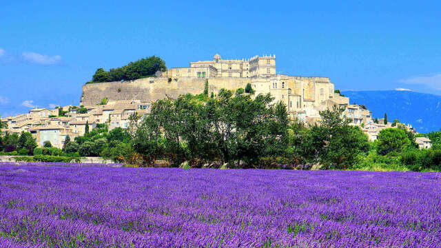 Slow Provence