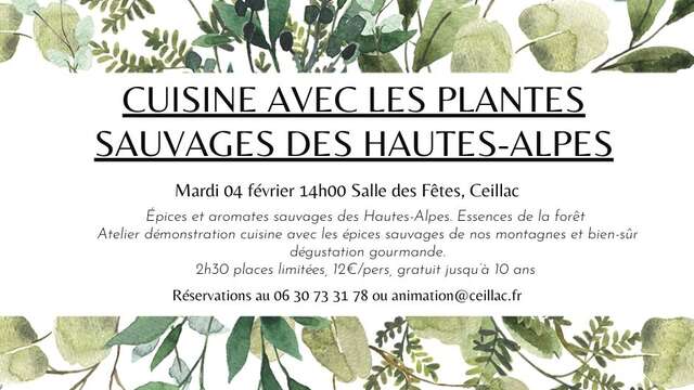 Atelier cuisine des plantes sauvages