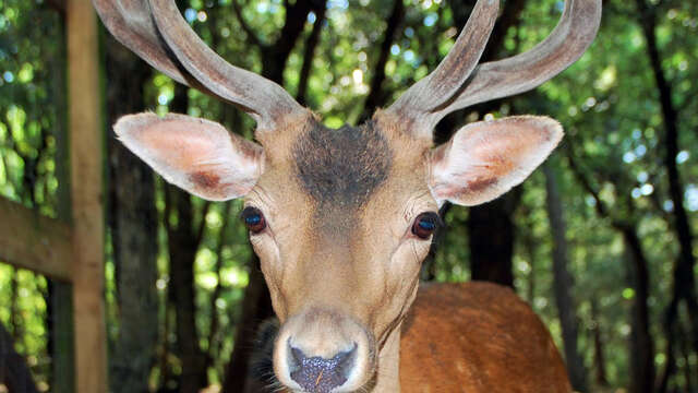 Aoubre, l'aventure nature