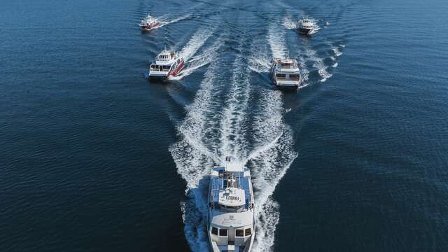 Bateliers de la Côte D'azur - Port de Toulon