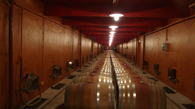 Cairanne Weinkeller "Camille & Cecilia"