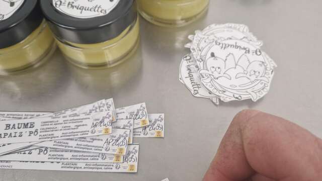 Atelier De la plante à ta peau - par O2 Briquettes