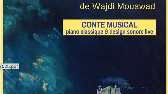 La petite pieuvre qui voulait jouer du piano