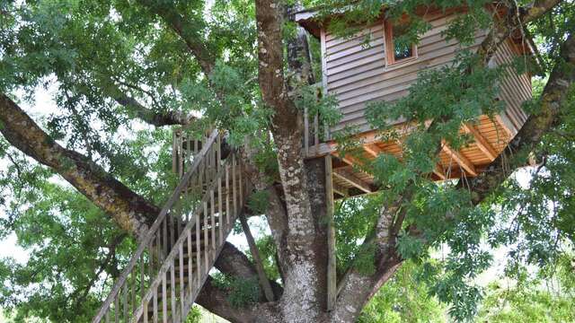 La Cabane - Moulin Saint Augustin