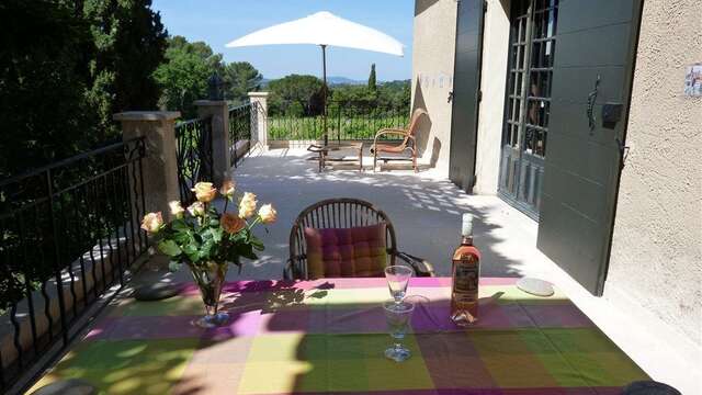 Les Vignes - Domaine de Casteuse