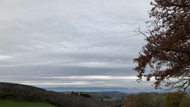 Sentier Faune et Flore autour du Bernand