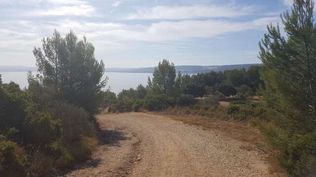 Espace VTT du Parc de Figuerolles