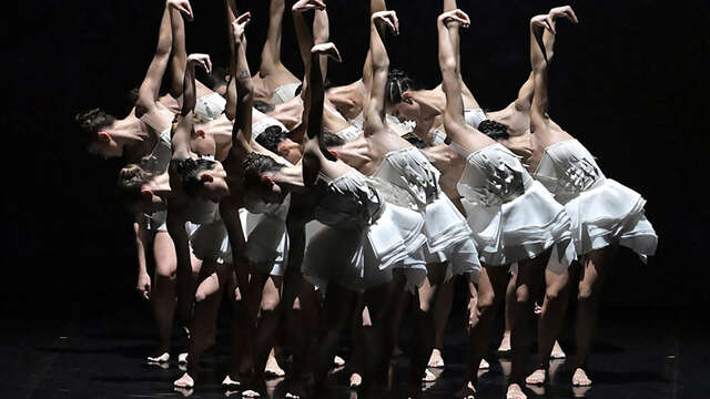 Spectacle : Angelin Preljocaj - Le Lac des Cygnes