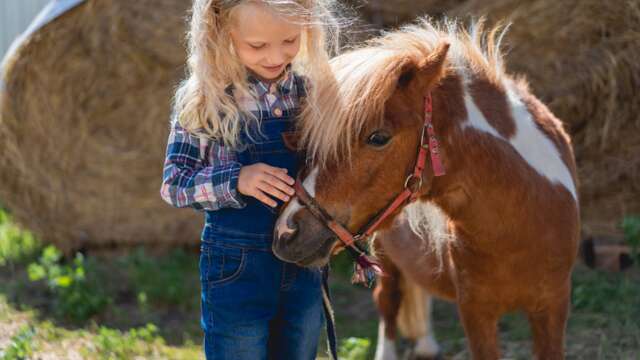 Balade à poney durant la Coupe du Monde de VTT Trial