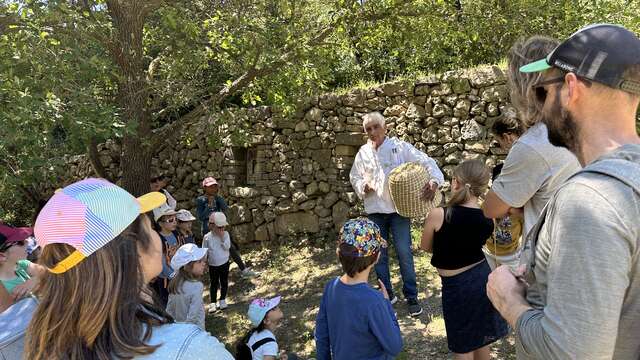 Découverte des abeilles de la Font de Mai - 1/2 journée