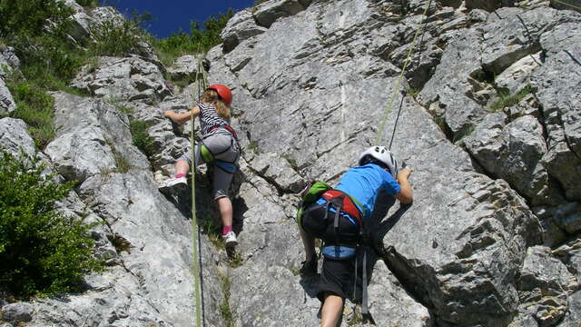 Escalade avec Lézard des Bois