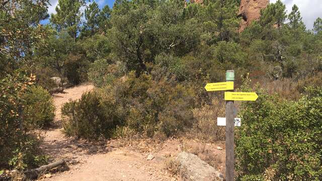 Promenade  La Pierre du Coucou - Bagnols-en-Forêt