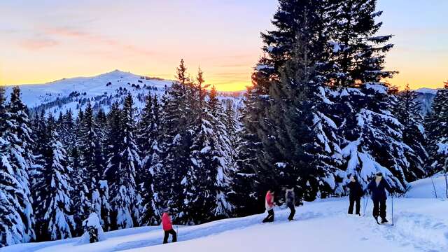 Randonnée crépuscule en raquettes à la savoyarde