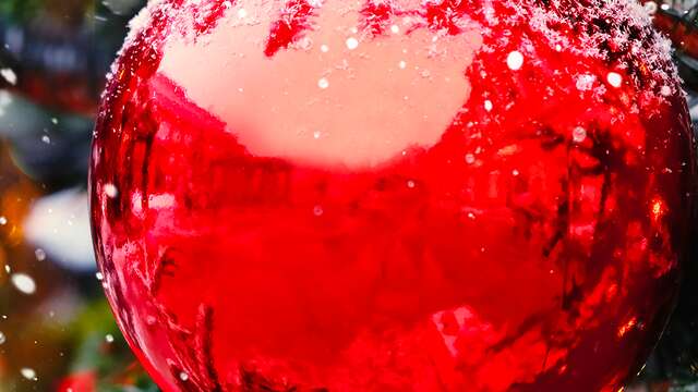 Le Noël solidaire de La Passerelle