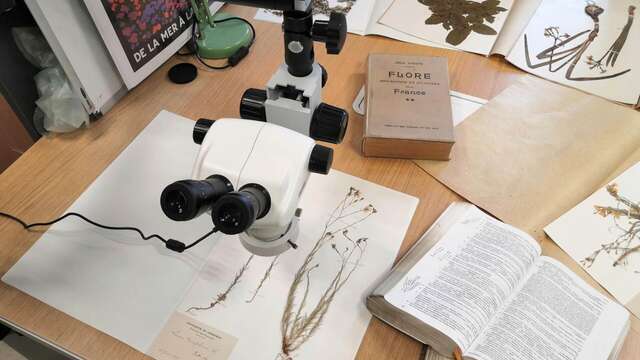 Conférence : Les collections du jardin du Lautaret