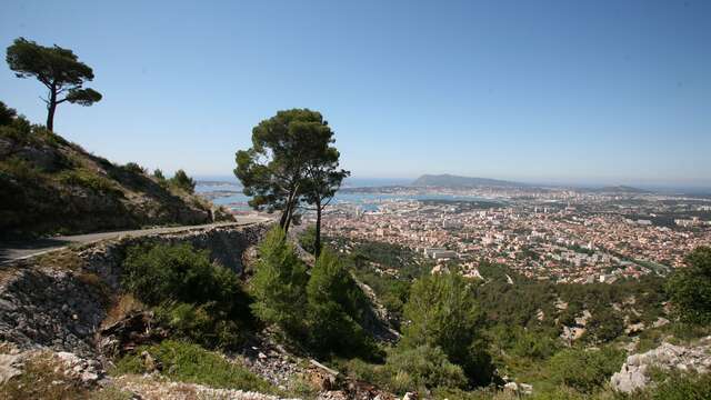 Der Mont Faron