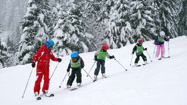 Prestige Skiunterricht
