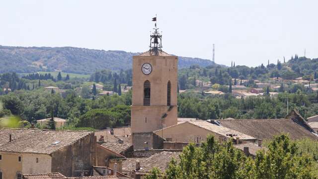 Stroll & Discovery - The winegrowers' plateau