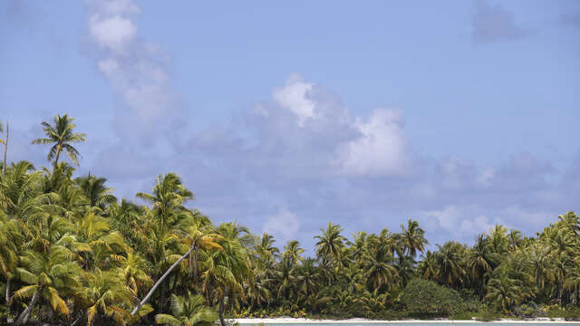 Le Lagon Bleu De Rangiroa