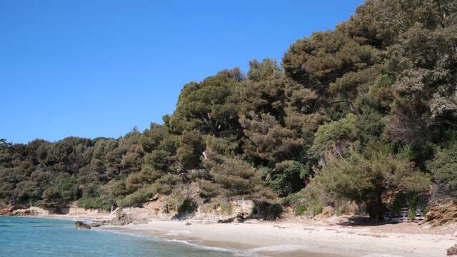 Plage de l'Elephant