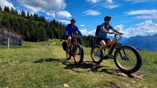 Wattsupfatbike