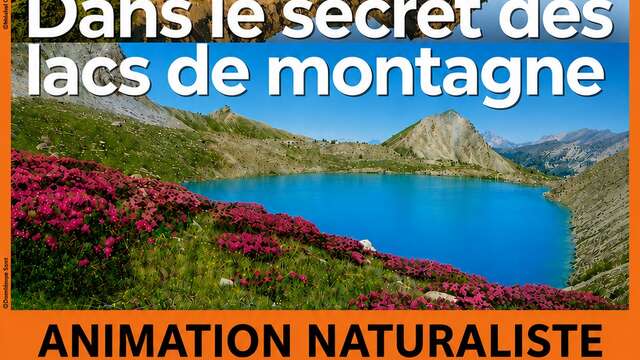 "Dans le secret des lacs de montagne" par Claudie Verner
