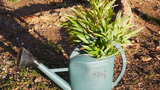 Atelier jardin d'art et d'essai