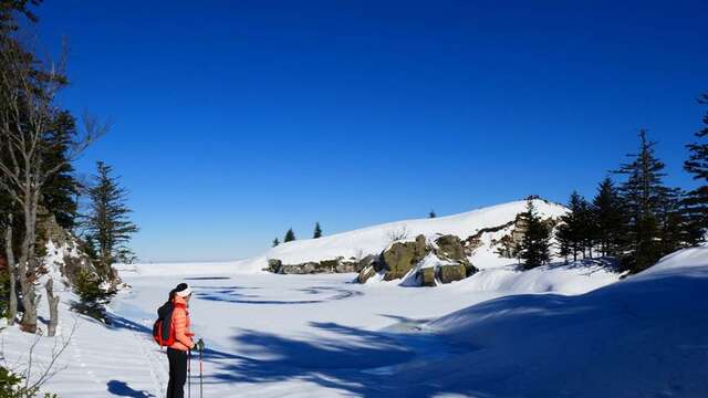 Snowshoeing day in Haute Ariège with the Dahu Ariégeois