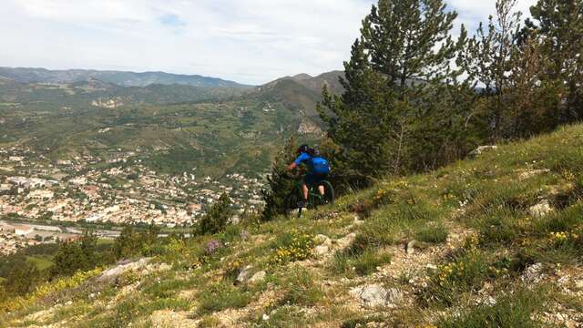 Chemins de Caramantran et des Oreilles d'ânes-Facile 5km-2h