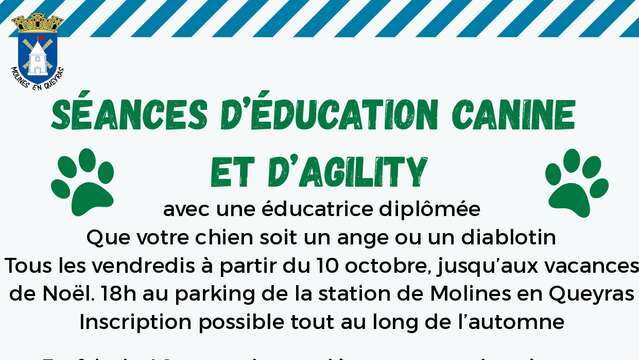 Dog training and agility sessions