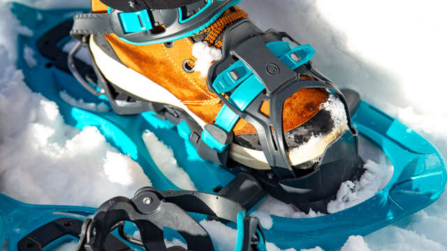 Marche découverte de Noël en raquettes