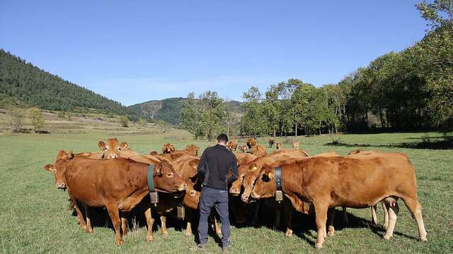 Ferme de la Cabaillère