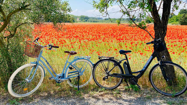 Orange Bike Via Venaissia