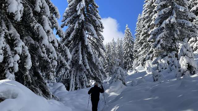 Sortie Raquettes & Fondue en plein air